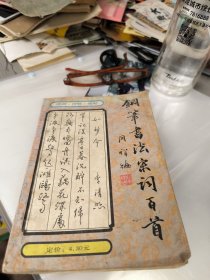 钢笔书法宋词百首