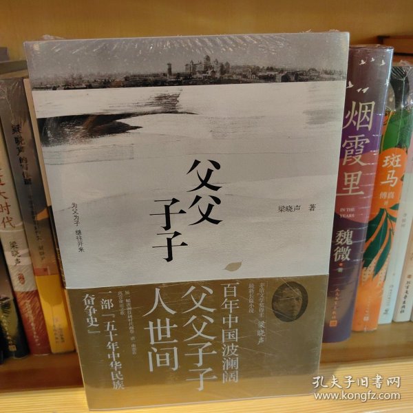 父父子子（第十届茅盾文学奖得主、电视剧《人世间》原著作者梁晓声长篇力作!）