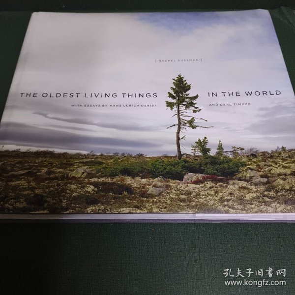 The Oldest Living Things in the World