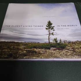 The Oldest Living Things in the World 世界上最古老的生物