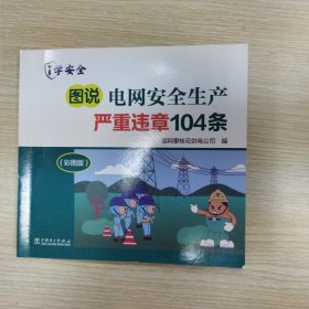 图说电网安全生产严重违章104条