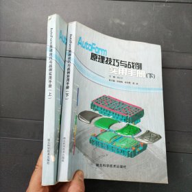 AutoForm原理技巧与战例实用手册 上下册