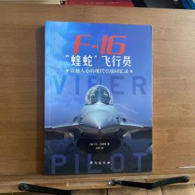 F-16“蝰蛇”飞行员 : 震撼人心的现代空战回忆录