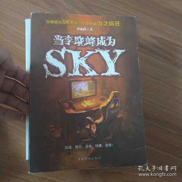 当李晓峰成为SKY