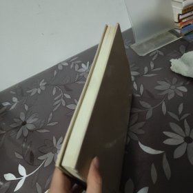 北京中药纪念同仁堂三百一十五周年画集 精装