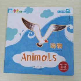 Animal动物