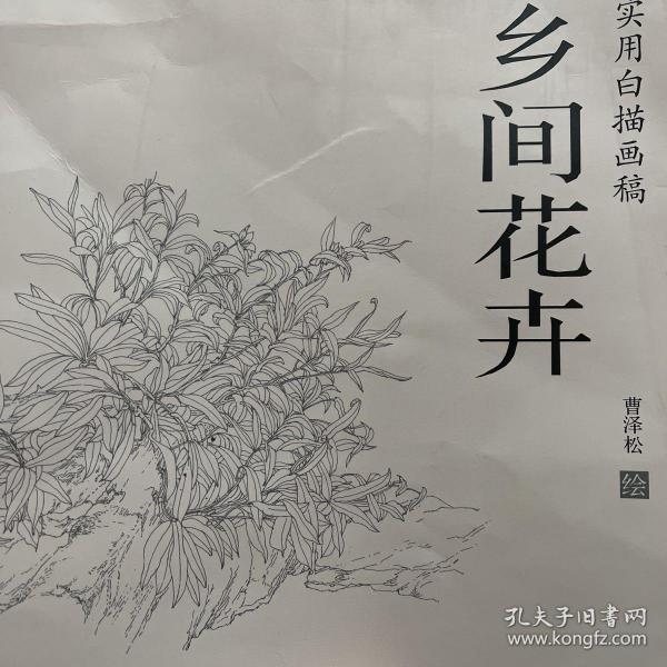 乡间花卉/实用白描画稿