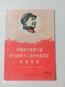 中国共产党第八次扩大的第十二次中央委员会全会公报