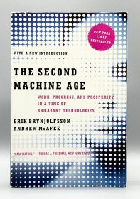 The Second Machine Age : Work, Progress, and Prosperity in a Time of Brilliant Technologies （经济学）英文原版书