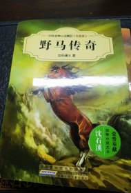 中外动物小说精品（升级版）：野马传奇