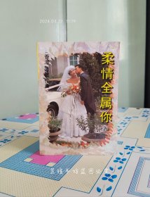 柔情全属你（岑凯伦作品，1994年1月1版1印，个人藏书，美品。）