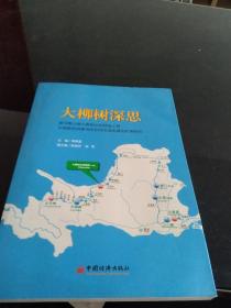 大柳树深思 黄河黑山峡大柳树水利枢纽工程在国家的战略地位和对区域发展的作用研究