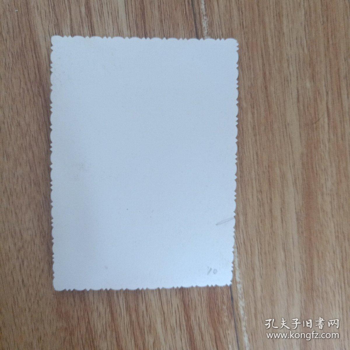 烟台美女老照片