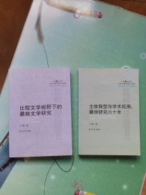 比较文学视野下的彝族文学研究（两本合售）