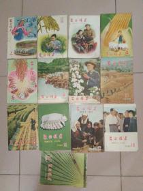 农业技术1960年1-14期，少第9.12，13本合售，少许写画，