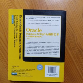 Oracle Database 9i/10g/11g编程艺术：深入数据库体系结构