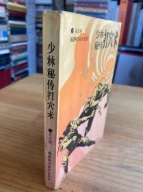 少林秘传打穴术