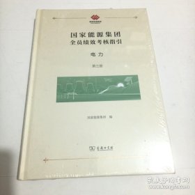 国家能源集团全员绩效考核指引：电力