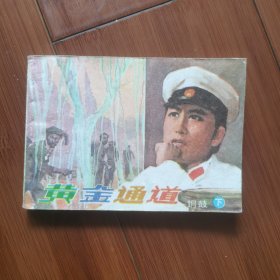 电视剧连环画：黄金通道一一铜鼓（下）