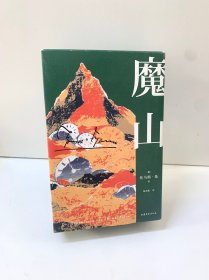 魔山（诺贝尔文学奖得主托马斯·曼代表作，哈佛推荐50本必读经典之一。“翻译文化终身成就奖”得主杨武能德文直译版。）【果麦经典】