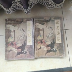游龙侠影上下
