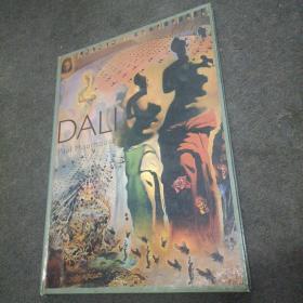 DALI（精装美术画册）