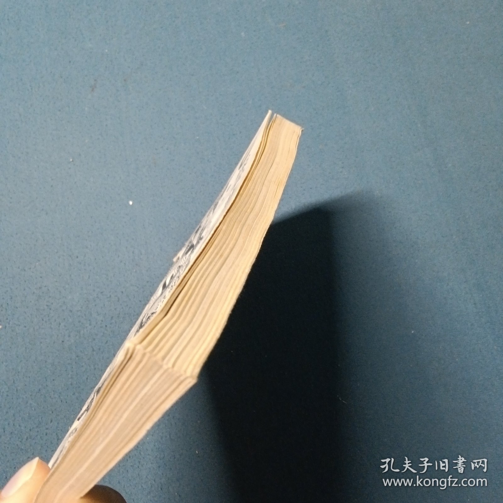 走向未来丛书探索非理性的世界