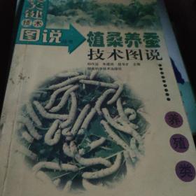 植柔养蚕技术图说——农业关键技术图说丛书·养殖类