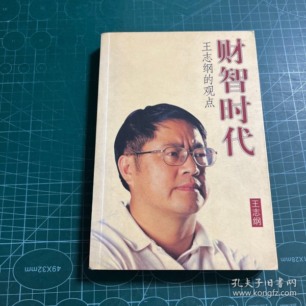 财智时代（王志纲）