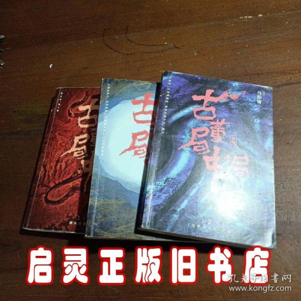 古董局中局2（文字鬼才马伯庸经典代表作品《古董局中局2》全新修订版）