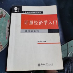 计量经济学入门