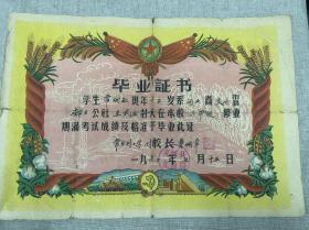 1960年交河县常乐村小学毕业证书