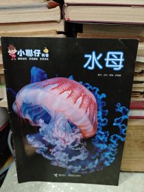 小聪仔 科普 水母