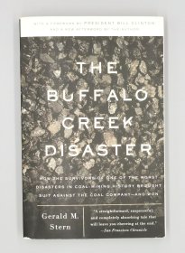 The Buffalo Creek Disaster by Gerald M. Stern （法律）英文原版书