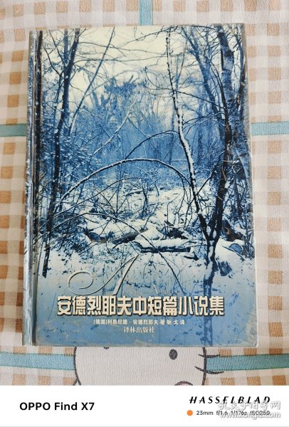 安德烈耶夫中短篇小说集（精装本）