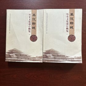 秦汉新城历史文化遗存概览 上下册