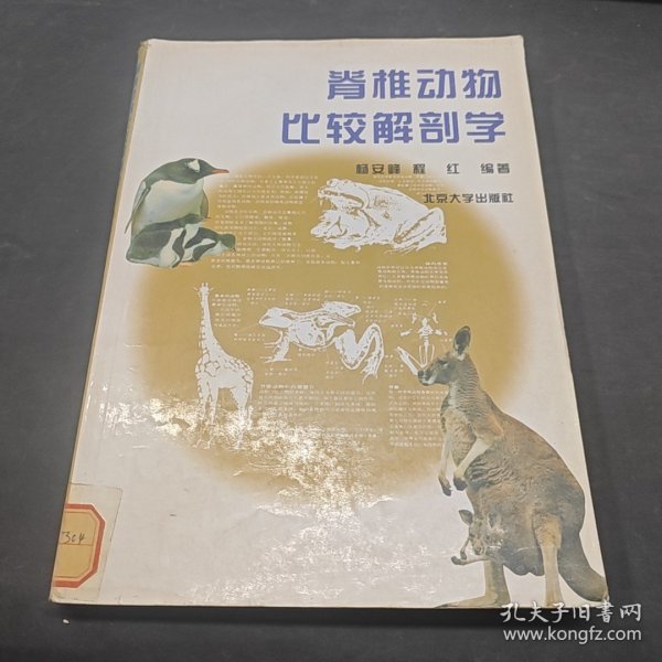 脊椎动物比较解剖学