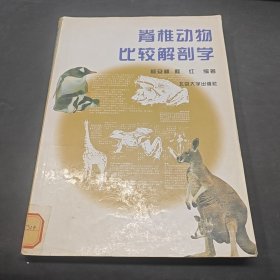 脊椎动物比较解剖学