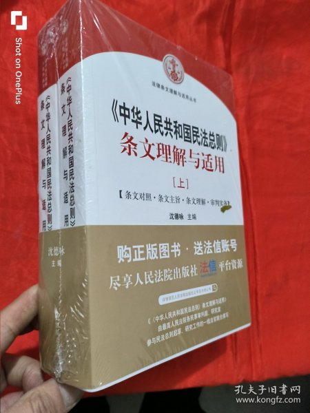 中华人民共和国民法总则 条文理解与适用（套装上下册）