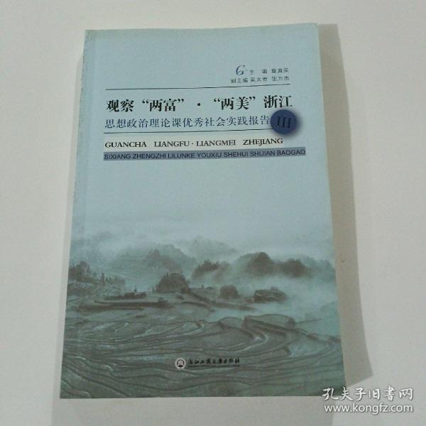 观察“两富”·“两美”浙江 思想政治理论课优秀社会实践报告3