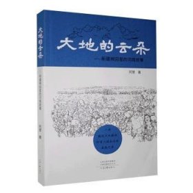 大地的云朵：新疆棉田里的河南故事