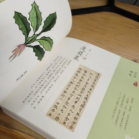 食物本草图谱