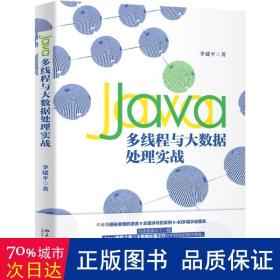 Java多线程与大数据处理实战