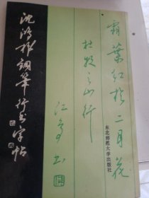 沈鸿根钢笔行书字帖