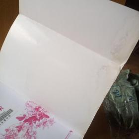 半树春红半树风—清代词后顾太清的媚丽人生