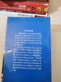 腾飞——（惠阳）新墟之光