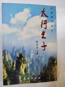长篇报告文学—太行之子