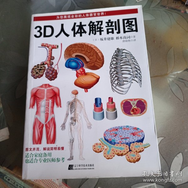 3D人体解剖图