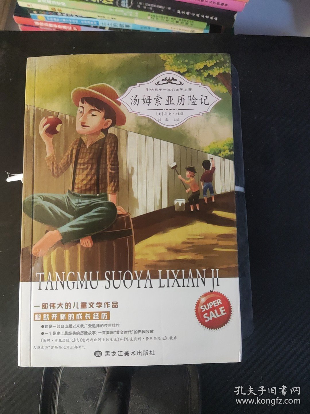 汤姆索亚历险记