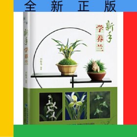 新手學(xué)養(yǎng)蘭